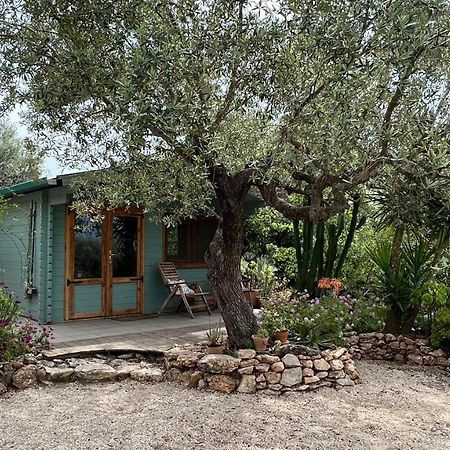 Finca Florecer Tivenys Kültér fotó