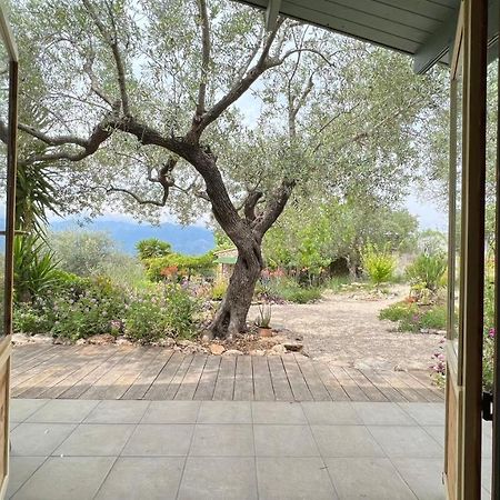Finca Florecer Tivenys Kültér fotó